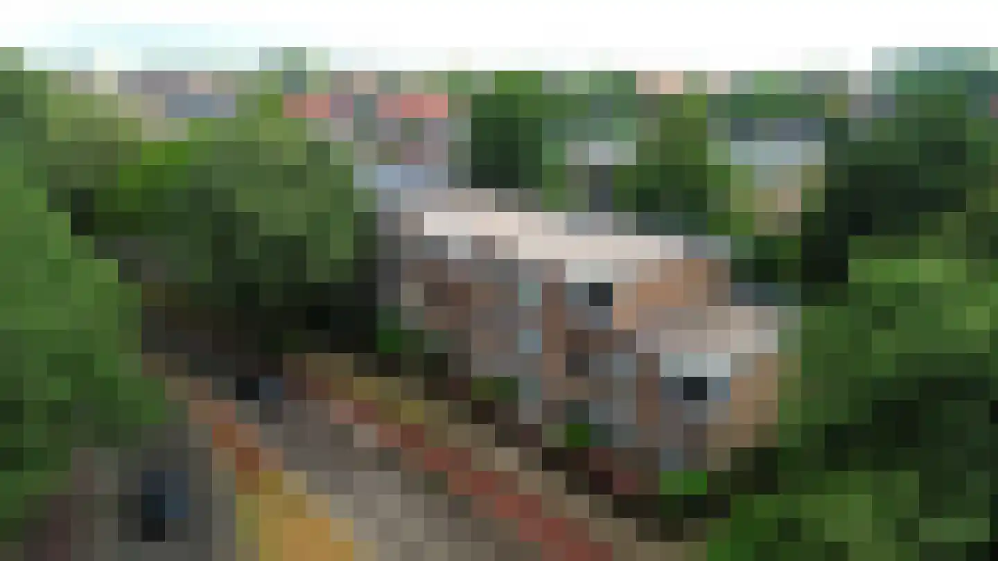 Haaksepad 6 Harderwijk thumbnail 23
