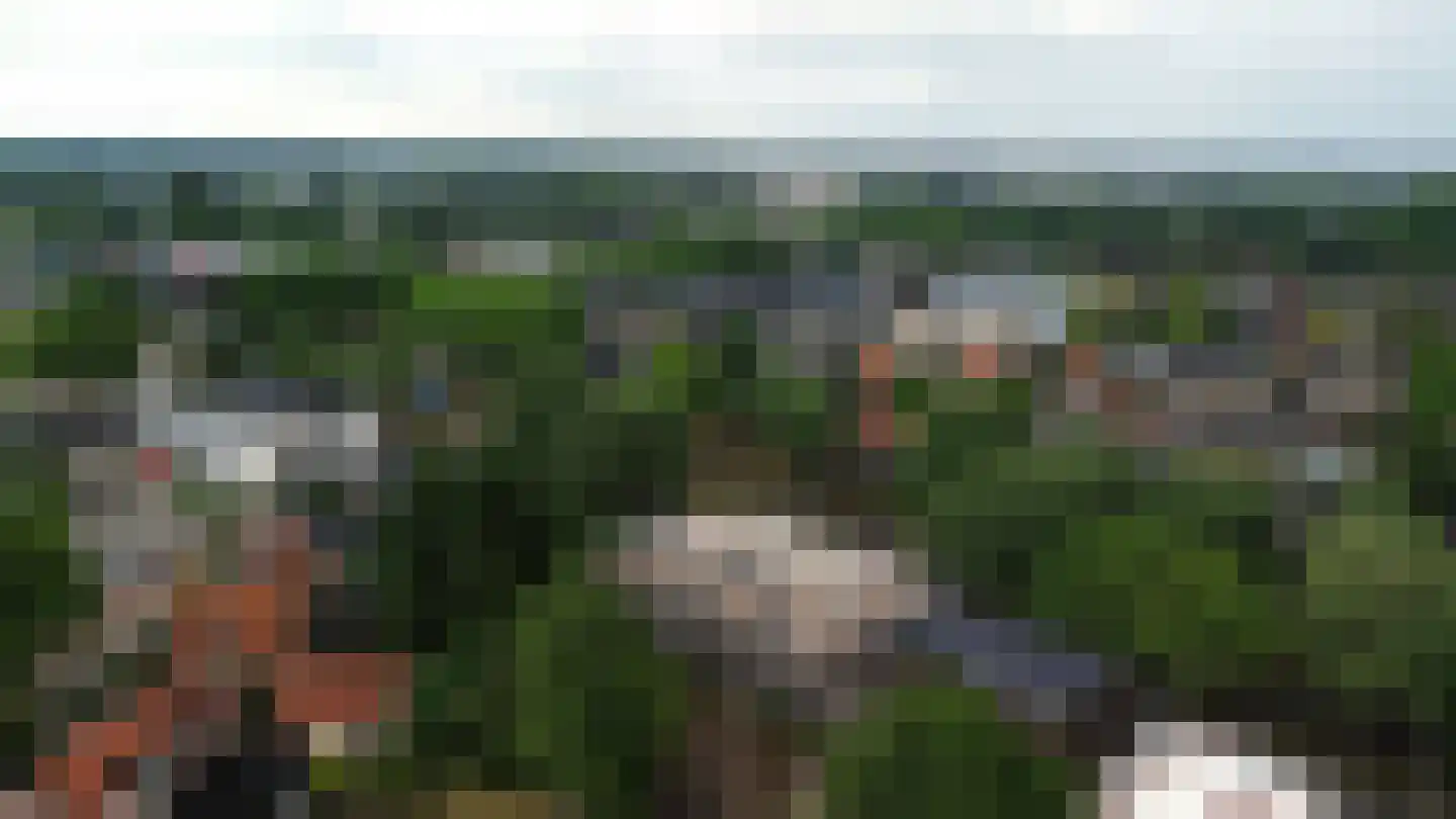 Haaksepad 6 Harderwijk thumbnail 25