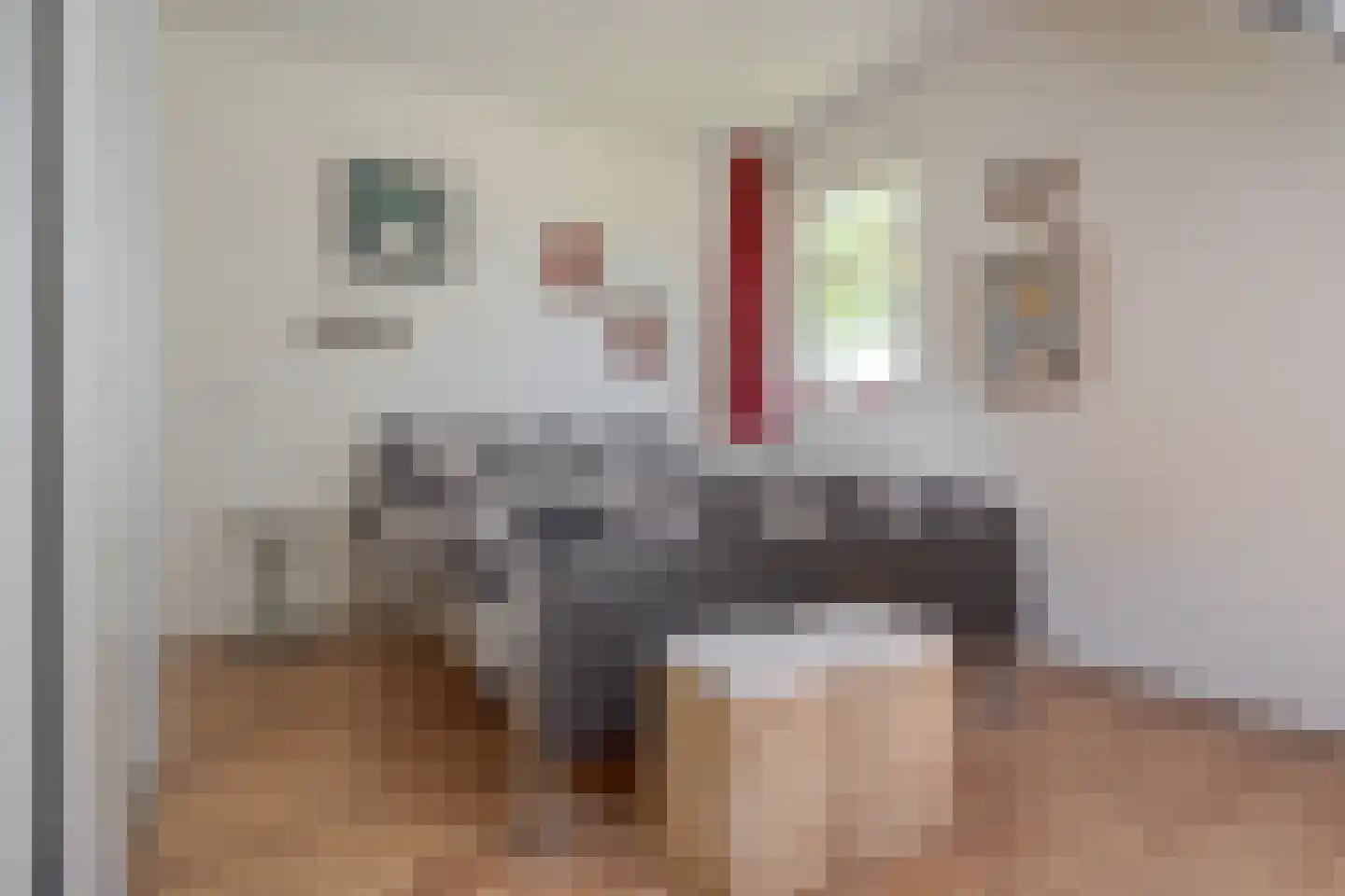 Haakswold 41 Ruinerwold thumbnail 14