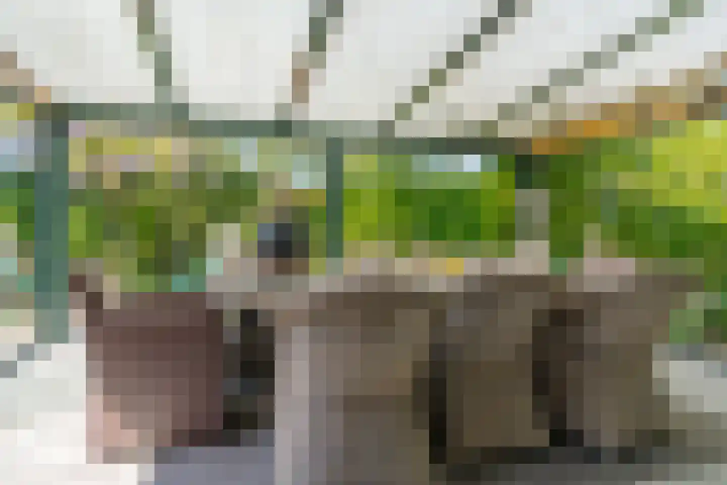 Haakswold 41 Ruinerwold thumbnail 17
