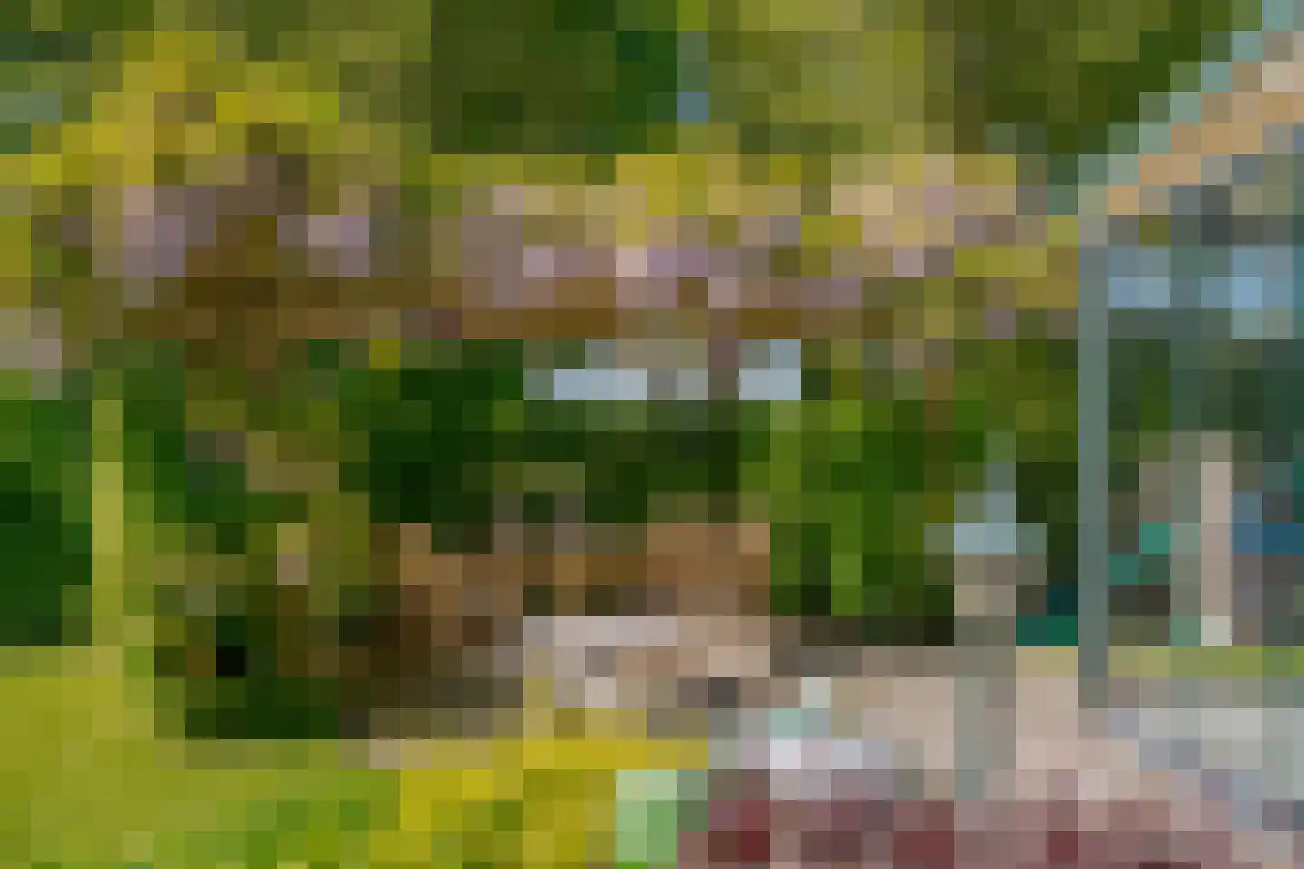 Haakswold 41 Ruinerwold thumbnail 20