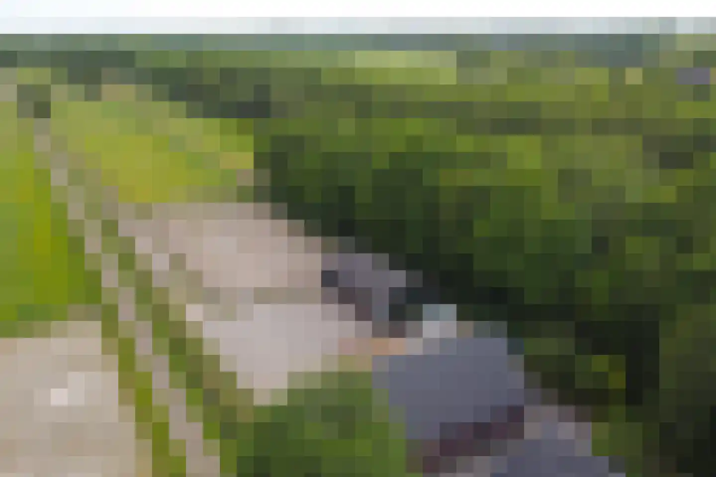 Haakswold 41 Ruinerwold thumbnail 24