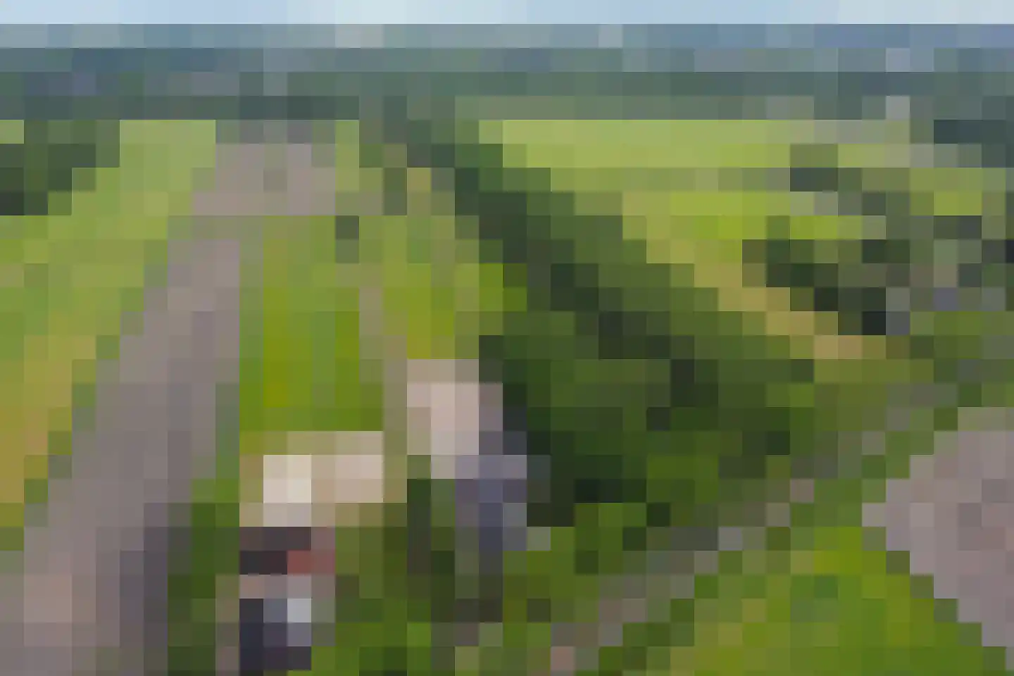 Haakswold 41 Ruinerwold thumbnail 25