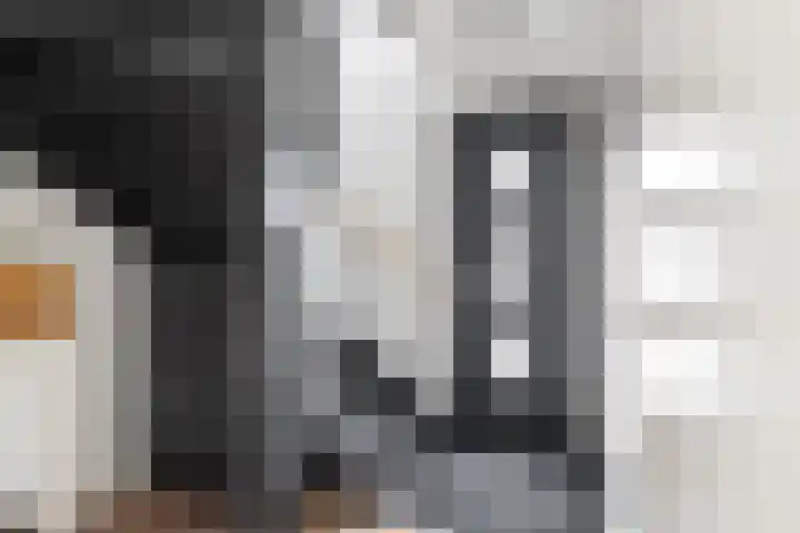 Haakwal 22 Alkmaar thumbnail 12