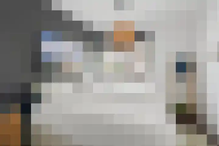 Haakwal 22 Alkmaar thumbnail 15