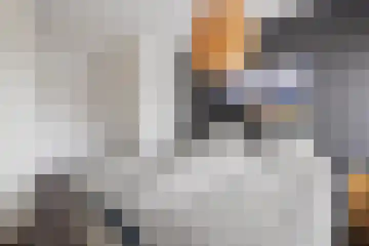 Haakwal 22 Alkmaar thumbnail 16