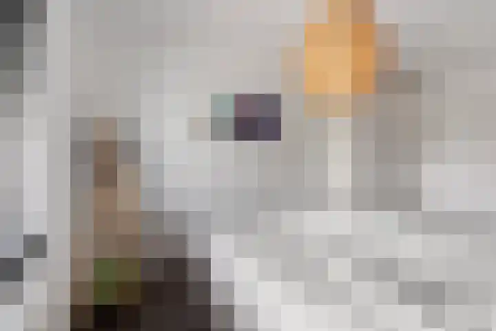 Haakwal 22 Alkmaar thumbnail 17