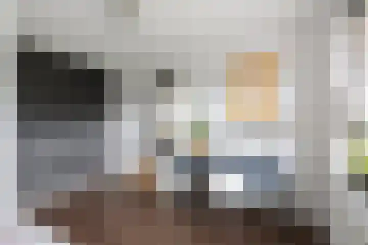 Haakwal 22 Alkmaar thumbnail 19