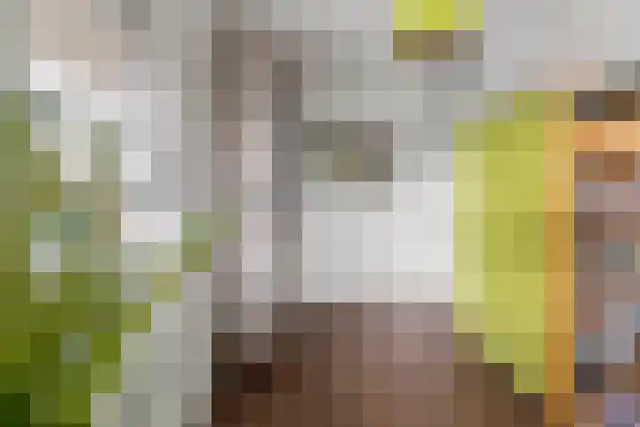 Haakwal 22 Alkmaar thumbnail 21