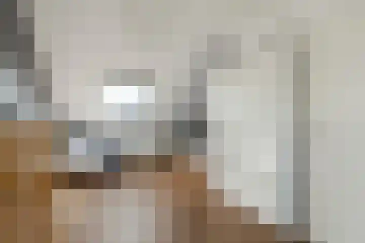 Haakwal 22 Alkmaar thumbnail 25