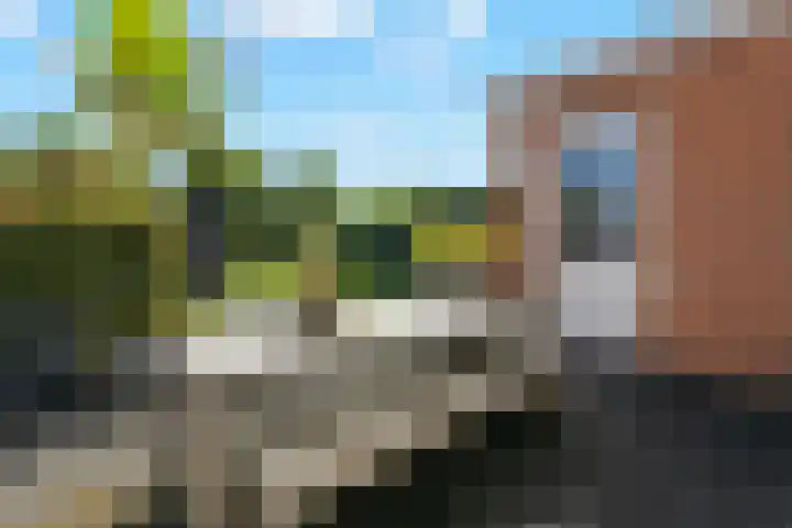 Haakwal 22 Alkmaar thumbnail 29