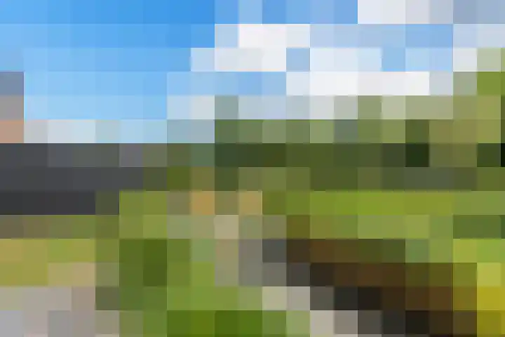 Haakwal 22 Alkmaar thumbnail 30