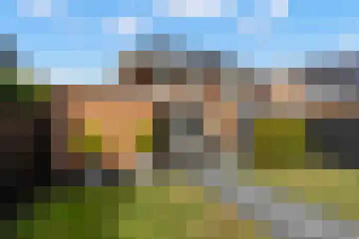 Haakwal 22 Alkmaar thumbnail 31