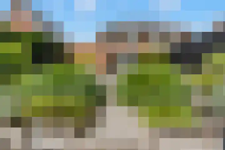 Haakwal 22 Alkmaar thumbnail 32