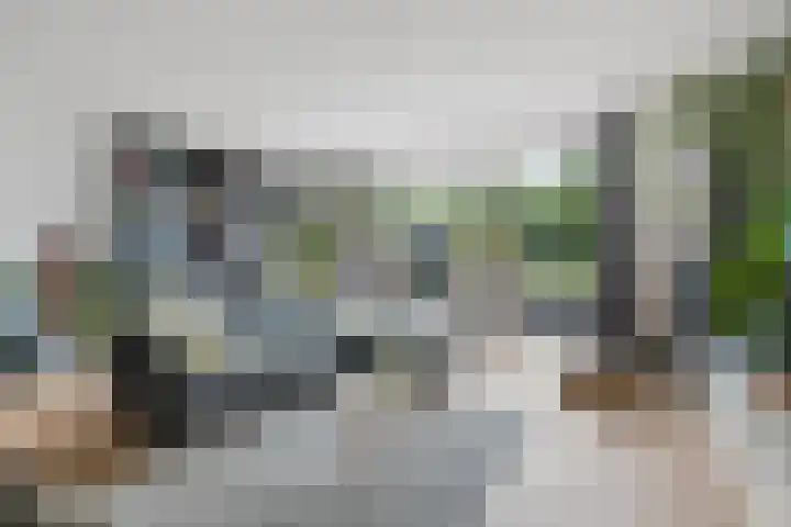Haakwal 22 Alkmaar thumbnail 5