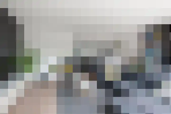 Haakwal 22 Alkmaar thumbnail 6
