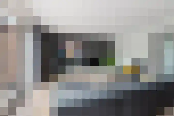 Haakwal 22 Alkmaar thumbnail 7
