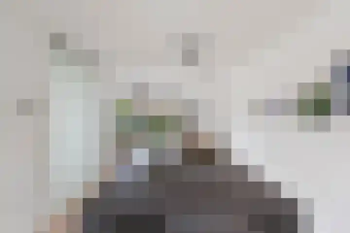 Haakwal 22 Alkmaar thumbnail 8