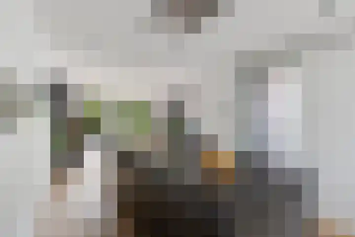 Haakwal 22 Alkmaar thumbnail 9