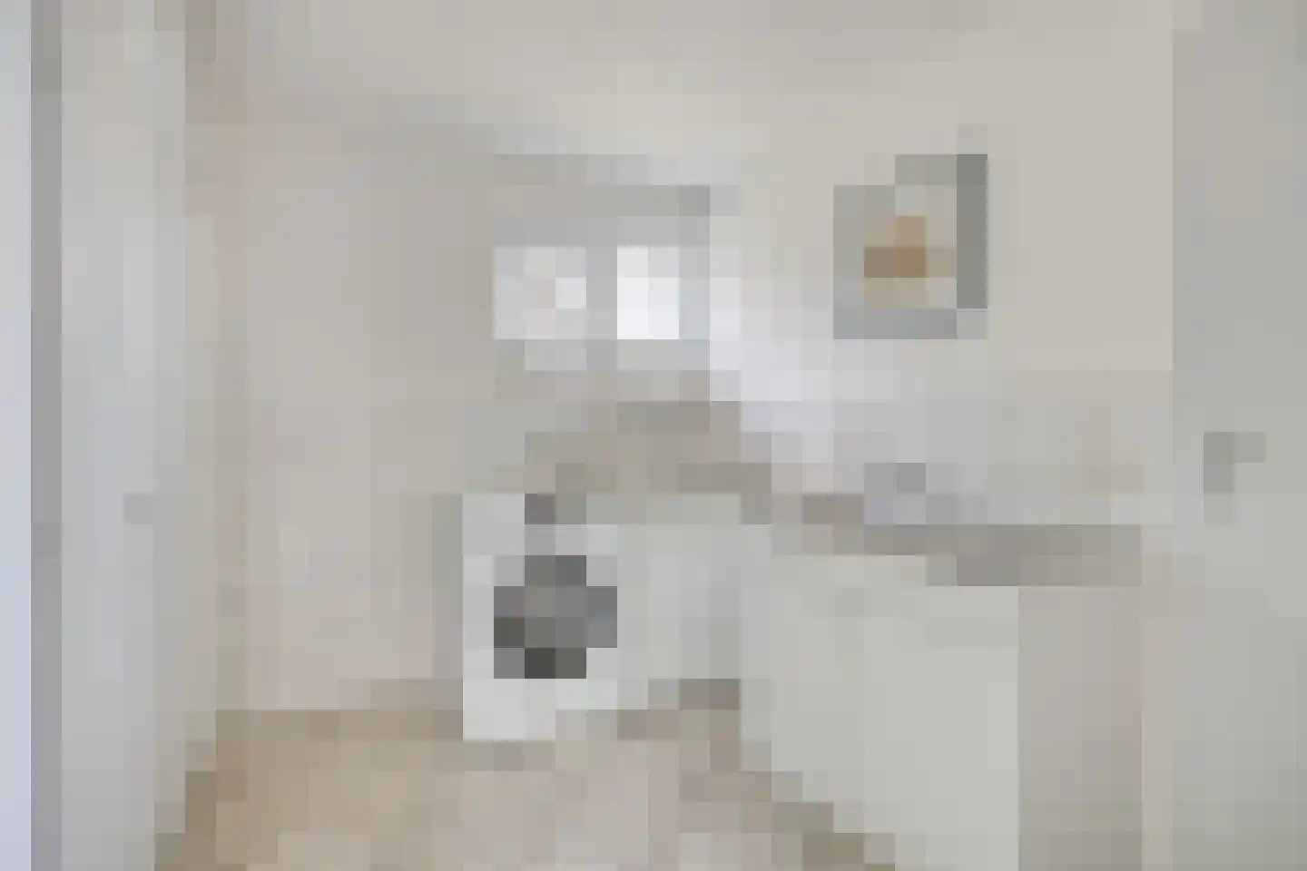 Haalakker 11 Oirlo thumbnail 22
