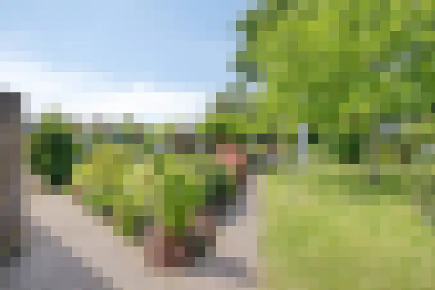 Haalakker 11 Oirlo thumbnail 38