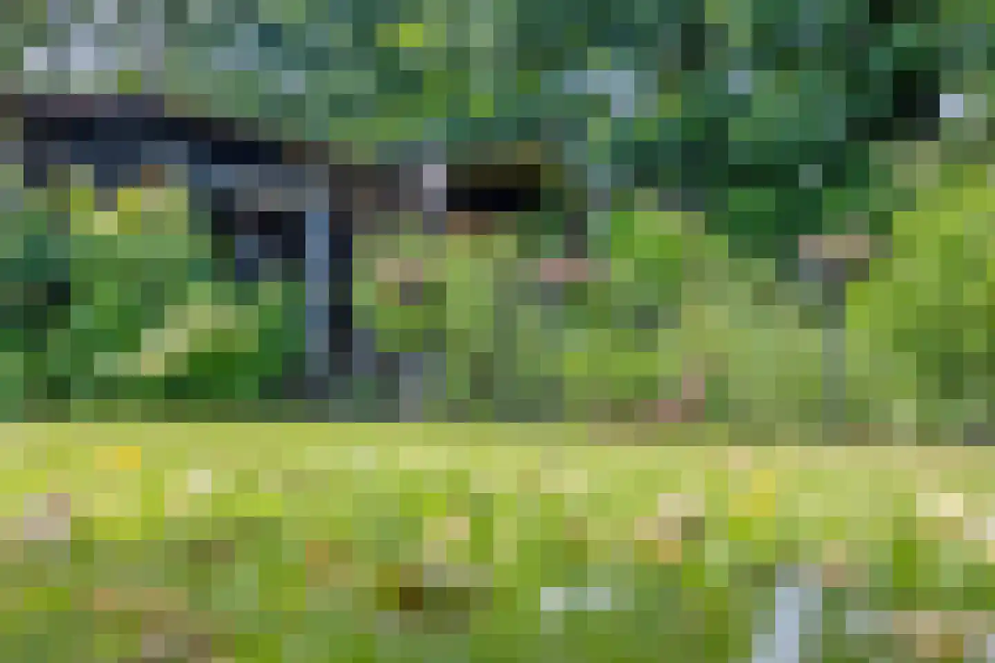 Haalakker 11 Oirlo thumbnail 39