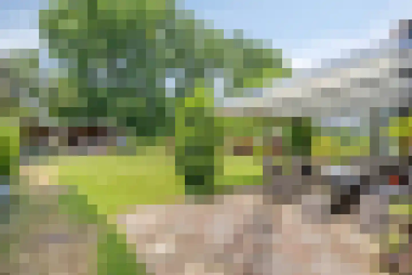 Haalakker 11 Oirlo thumbnail 41