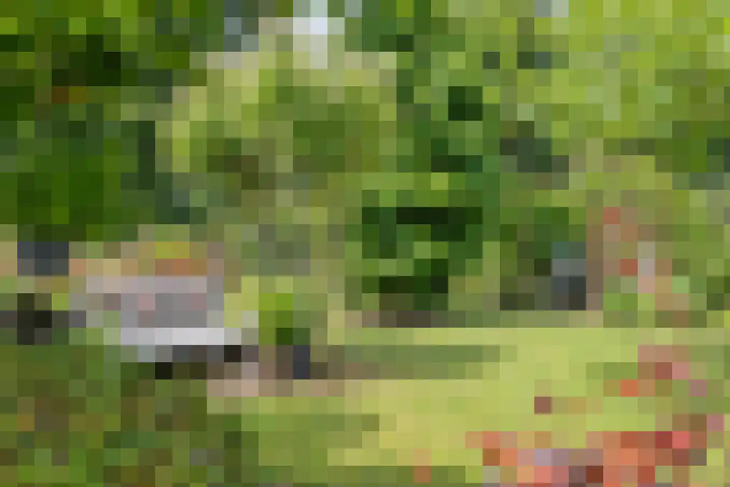 Haalakker 11 Oirlo thumbnail 44