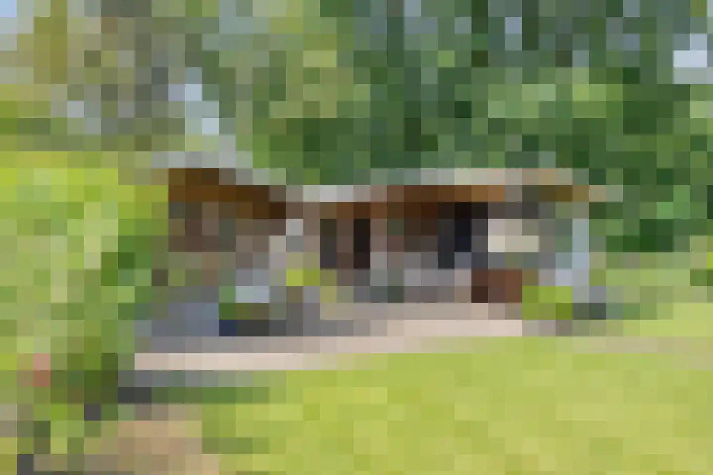 Haalakker 11 Oirlo thumbnail 47