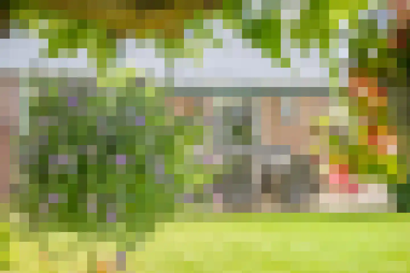 Haalakker 11 Oirlo thumbnail 50