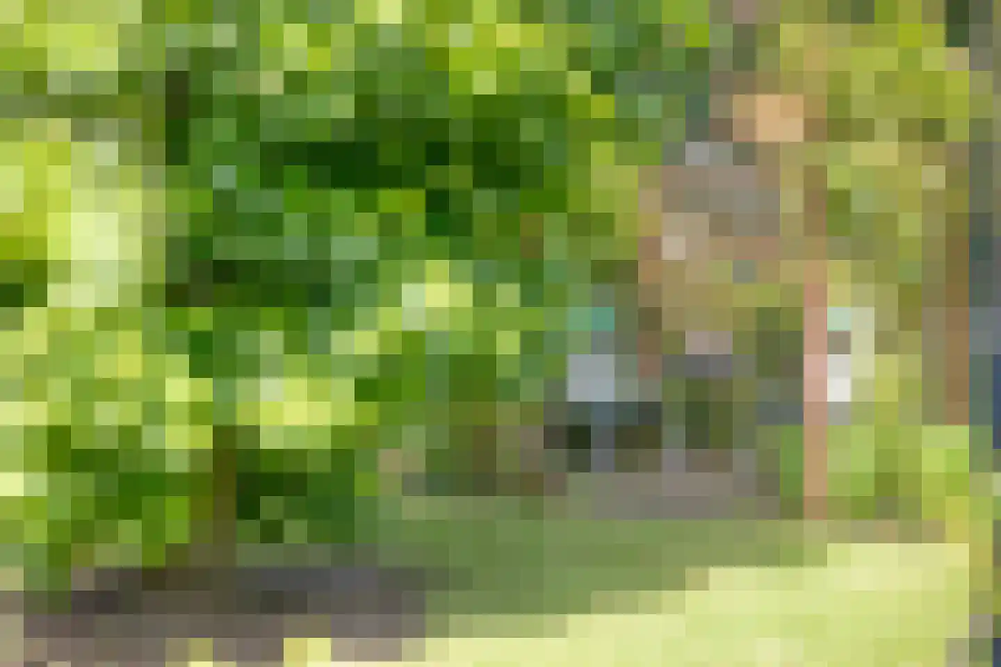 Haalakker 11 Oirlo thumbnail 51