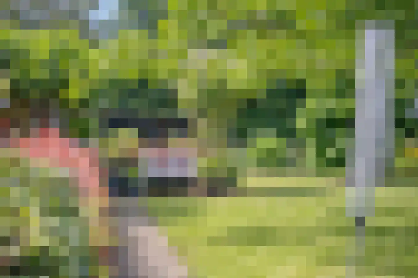 Haalakker 11 Oirlo thumbnail 52