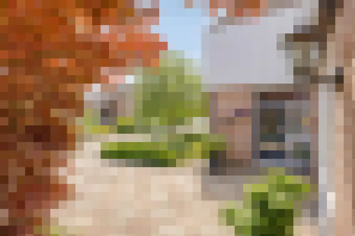 Haalakker 11 Oirlo thumbnail 55