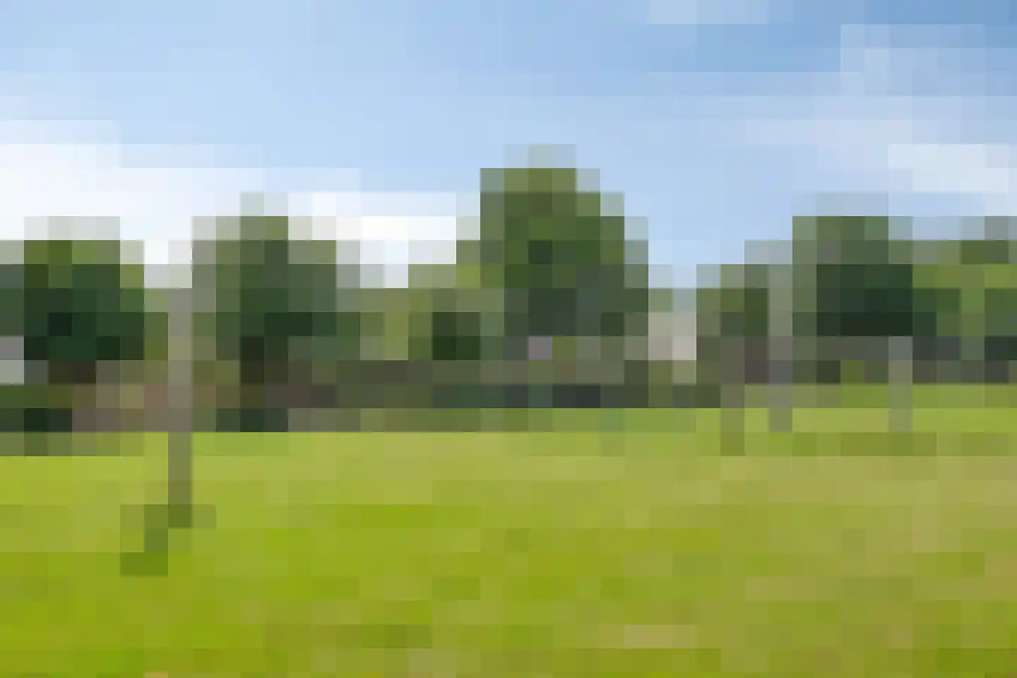 Haalakker 11 Oirlo thumbnail 58