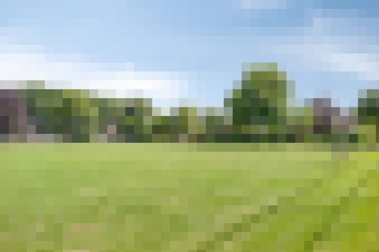 Haalakker 11 Oirlo thumbnail 59