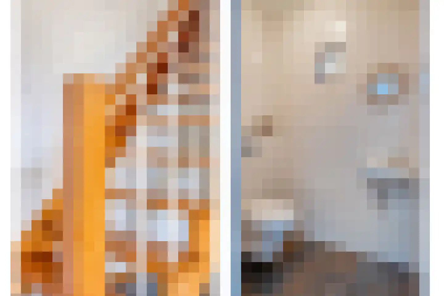 Haalakker 11 Oirlo thumbnail 6