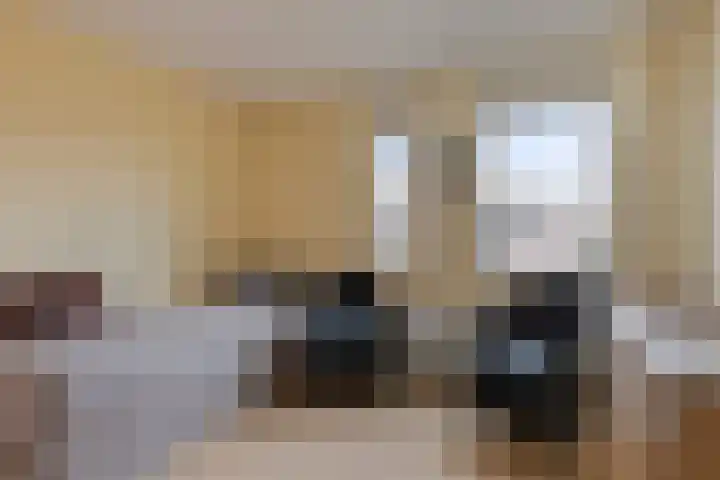 Haalakker 39 Oirlo thumbnail 15