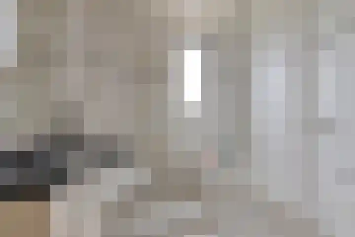 Haalakker 39 Oirlo thumbnail 17