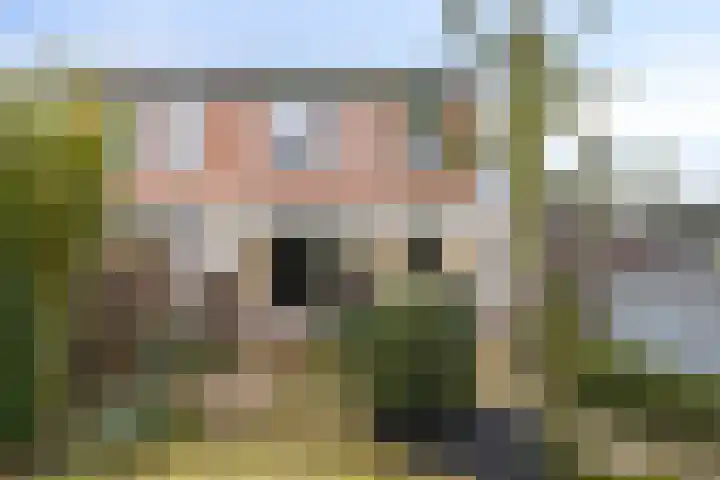 Haalakker 39 Oirlo thumbnail 19