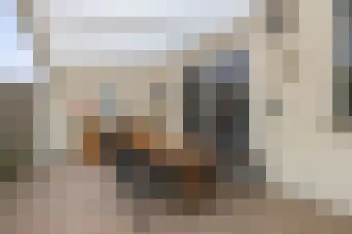 Haalakker 39 Oirlo thumbnail 20