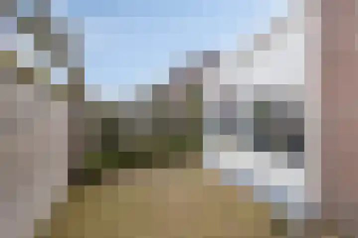 Haalakker 39 Oirlo thumbnail 23