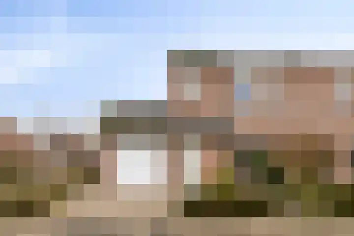 Haalakker 39 Oirlo thumbnail 25