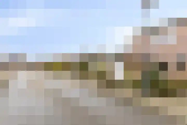 Haalakker 39 Oirlo thumbnail 26