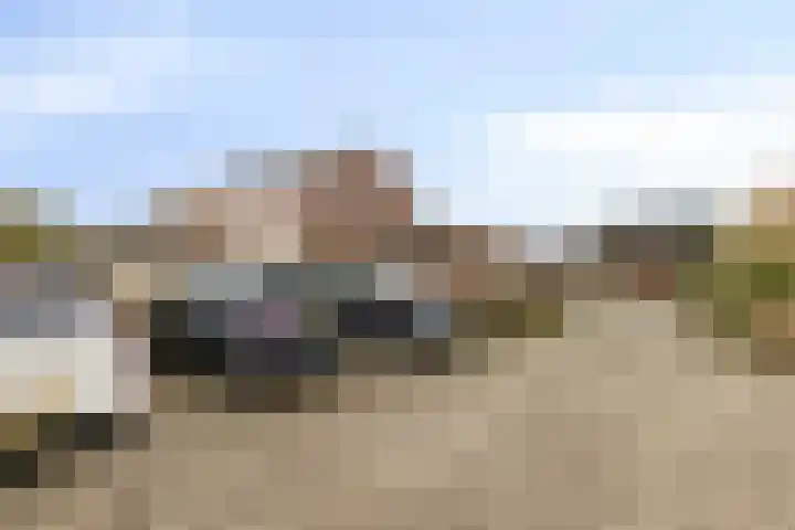Haalakker 39 Oirlo thumbnail 27