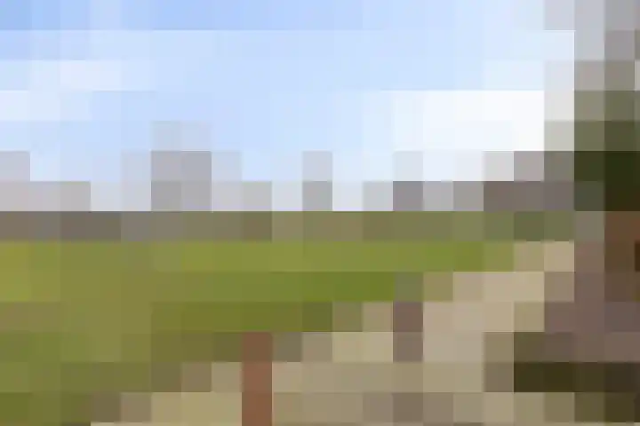 Haalakker 39 Oirlo thumbnail 28
