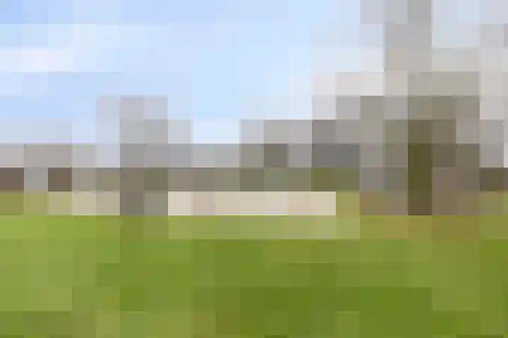 Haalakker 39 Oirlo thumbnail 30