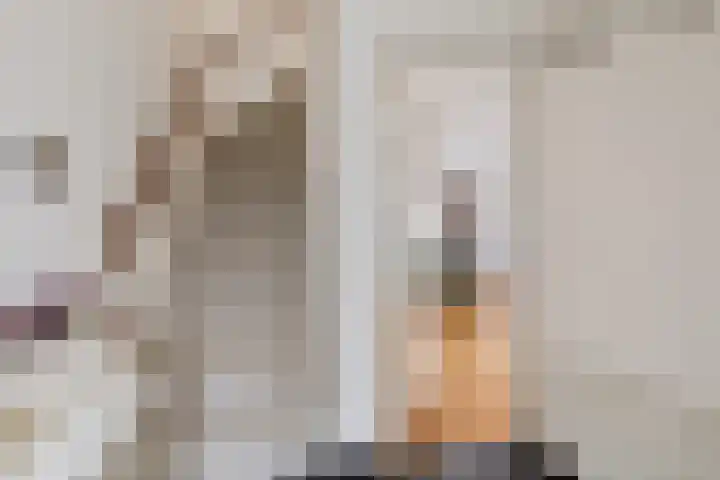 Haalakker 39 Oirlo thumbnail 5
