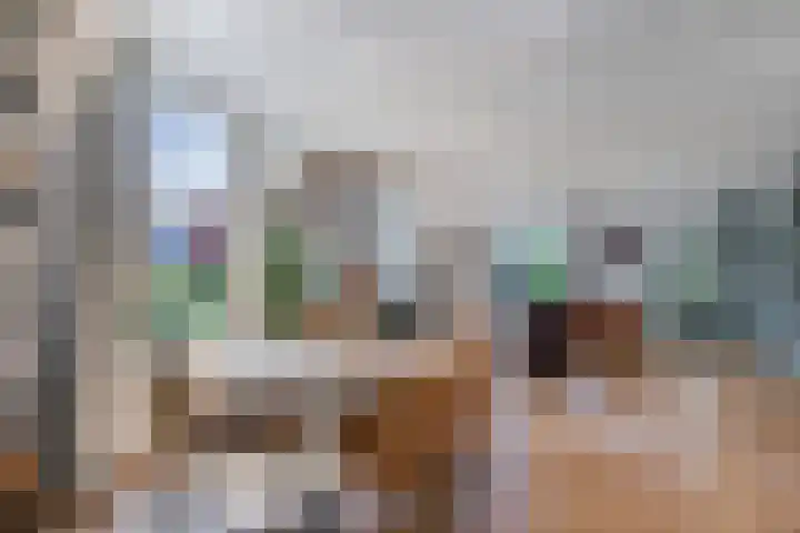 Haaldersbroek 21 Zaandam thumbnail 4