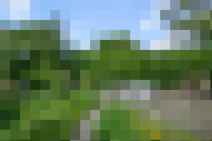 Haaldersbroek 21 Zaandam thumbnail 44