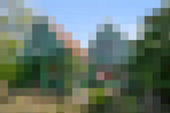 Haaldersbroek 21 Zaandam thumbnail 46